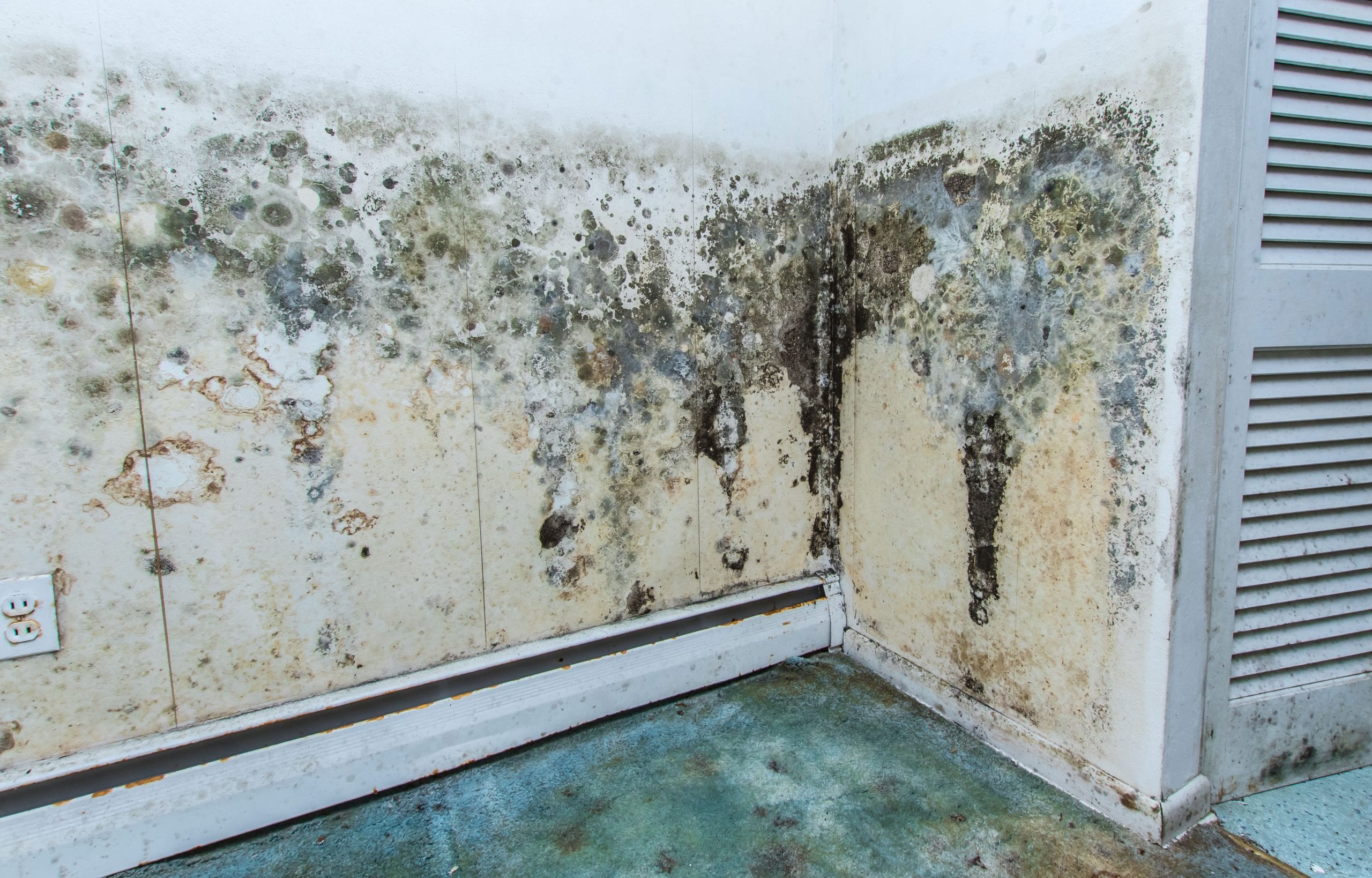 residential mold removal experts in Columbia